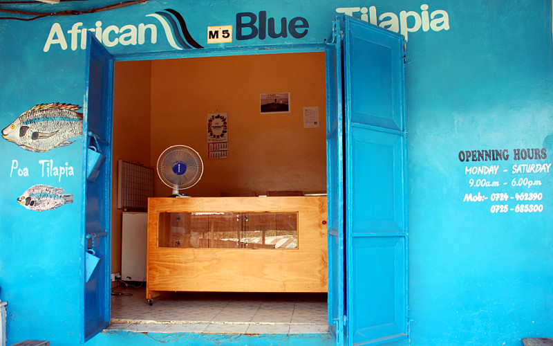 African Blue Poa Tilapia Sales